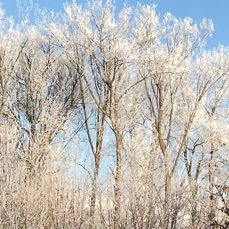 Im Feldle Kirchheim am Ries